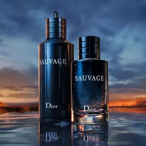 dior sauvage аналоги|dior sauvage cheapest alternative.